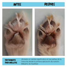 Load image into Gallery viewer, Balm 🐾 Paw Prints and Nose