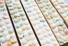 Load image into Gallery viewer, shells 🐚 souvenir soaps + 30 pcs