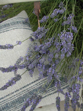 Cargar imagen en el visor de la galería, Ambiente ZEN
