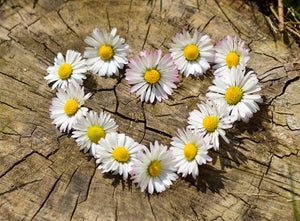 Flores de bach para niños